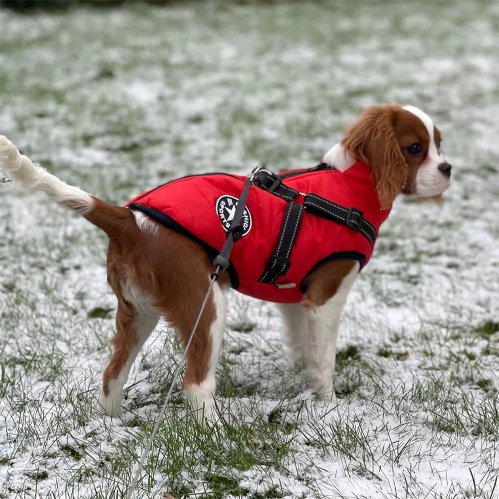 NEW “Fashion Sports" Waterproof Dog Coat/Jacket Built-in Harness Size 5XL 20” L